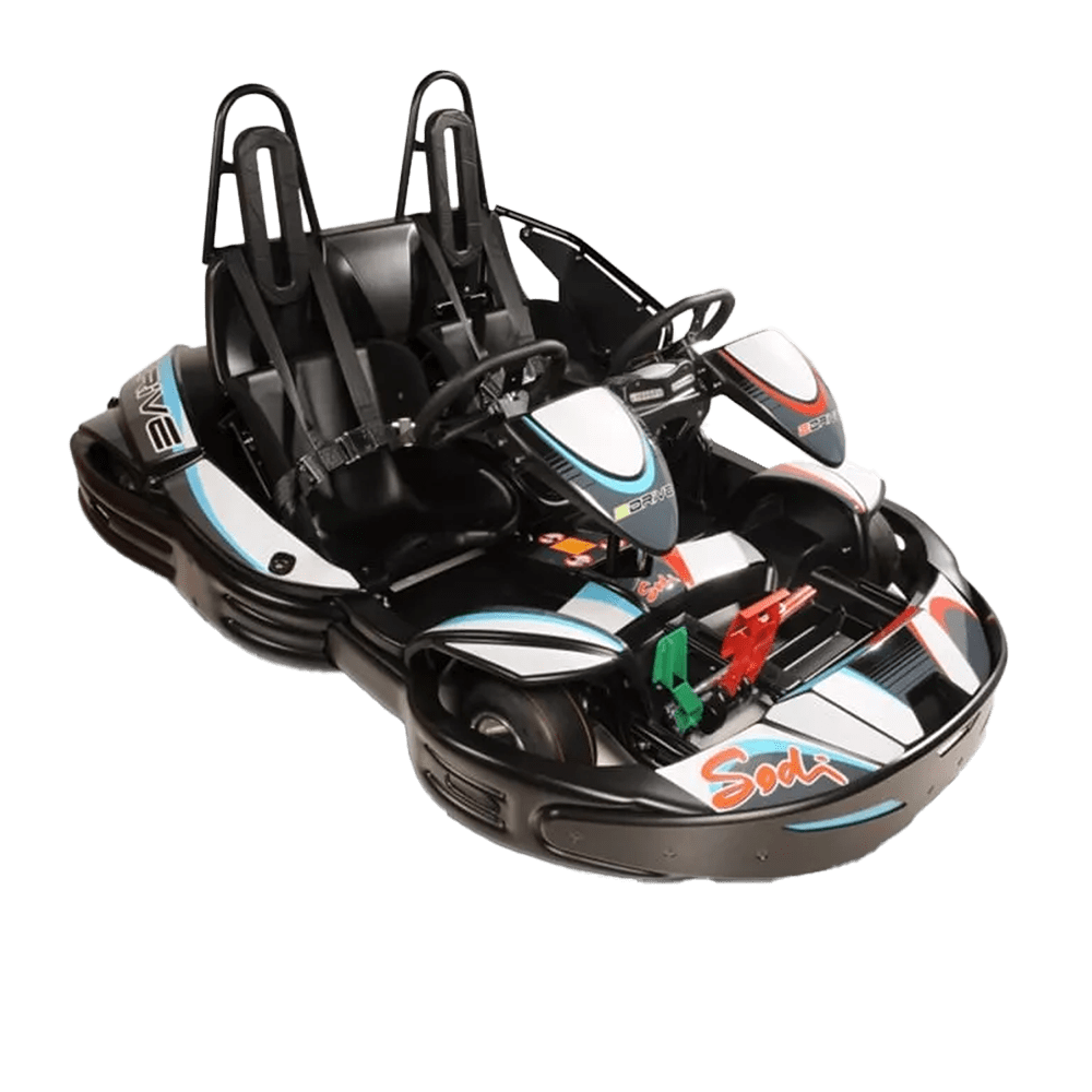 Karts à Sens (89)